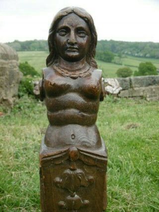 19thc Oak Carved Caryatid With Bare Breasted Female C.  1850