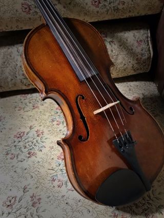 Outstanding Old Antique Violin - Stefano Scarampella - Professional Owned
