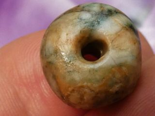 Ancient Pre - Columbian - Mesoamer.  Mayan Jade Belize Bead 15.  4 By 13.  1 Mm Heirloom