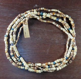 Museum - Grade 76 In.  Strand Fort Ancient Shell/glass Beads,  W.  Va X Beutell