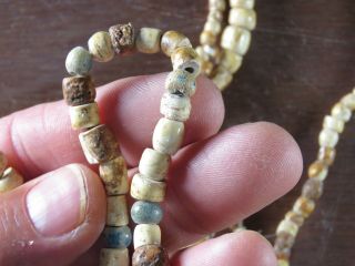 Museum - Grade 76 in.  strand Fort Ancient shell/glass beads,  W.  VA x Beutell 5