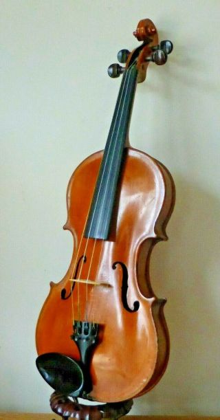 Cherished C1884 Antique Scottish Labelled Violin,  W Seifert Bow,  Case Cello