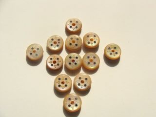 Set 12 Antique Mother Of Pearl Whistle Buttons Carved & Inlaid Reenactment Craft