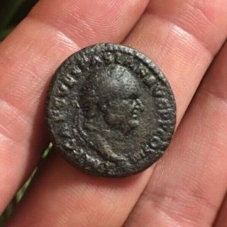 Ancient Roman Coin Ae As Vespasian 73ad Aequitas August Ric 580a 9.  71g