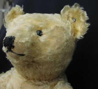 Rare Early Antique Steiff Teddy Bear 1915 3