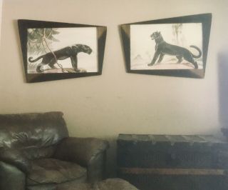 RARE Set Carlo of Hollywood Watercolor Paintings Panthers in Retro Angled Frames 12