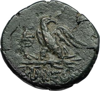 Amisos In Pontus - Mithradates Vi The Great Ancient Greek Coin Zeus Eagle I67186