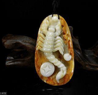 100 Natural Hand - Carved Chinese Jade Pendant Jadeite Necklace Scorpion&coin185e