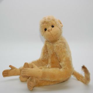 VRare Early Steiff White Monkey With Button 1908 - 1913 Old Antique Teddy Bear Pal 2