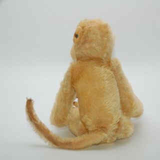 VRare Early Steiff White Monkey With Button 1908 - 1913 Old Antique Teddy Bear Pal 3