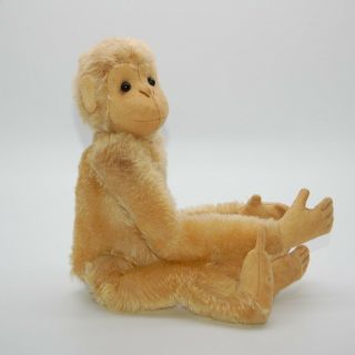 VRare Early Steiff White Monkey With Button 1908 - 1913 Old Antique Teddy Bear Pal 5
