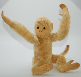 VRare Early Steiff White Monkey With Button 1908 - 1913 Old Antique Teddy Bear Pal 6