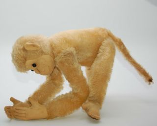 VRare Early Steiff White Monkey With Button 1908 - 1913 Old Antique Teddy Bear Pal 7