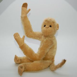 VRare Early Steiff White Monkey With Button 1908 - 1913 Old Antique Teddy Bear Pal 9