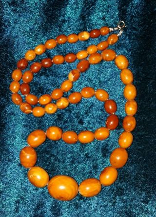 Antique Oval Rich Egg Yolk Baltic Amber Necklace 2