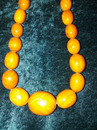 Antique Oval Rich Egg Yolk Baltic Amber Necklace 3