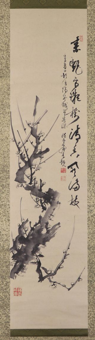 Japanese Hanging Scroll Art Painting " Plum Blossoms " Asian Antique E7438