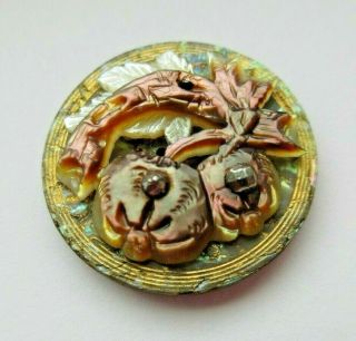 Stunning Antique Vtg Carved 2 - Piece Mop Shell Button Fruit & Cut Steels (q)