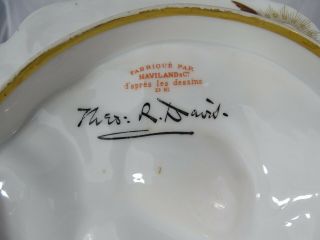 Antique Rutherford B.  Hayes Style White House China Oyster Plate 5