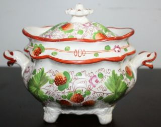 Rare Early 19th Century Staffordshire Creamware Covered Sugar Large Strawberries