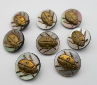 Gilt Brass & Mop Ladybug Buttons Insect Bug Set Of 6 Size 1/2 "