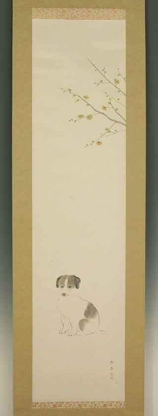 掛軸1967 Japanese Hanging Scroll " Ume Tree And Puppy " @b697