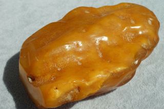 Ancient Baltic Amber Natural Stone 171 Grams.  High Class Baltic Amber Stone