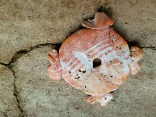 Ancient Hohokam Carved Shell Bird Effigy Bead Pendant Arizona Anasazi