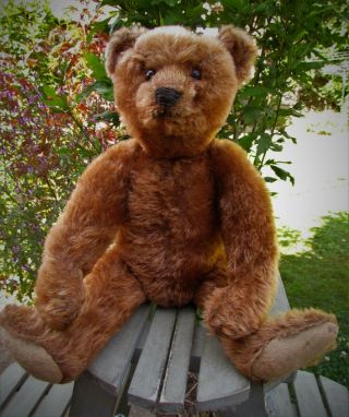 ANTIQUE OLD CINNAMON MOHAIR STEIFF TEDDY BEAR FF BUTTON 4