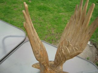 ANTIQUE FOLK ART LARGE HAND CARVED WOOD AMERICAN EAGLE from EARLY ESTATE 4