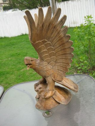 ANTIQUE FOLK ART LARGE HAND CARVED WOOD AMERICAN EAGLE from EARLY ESTATE 5