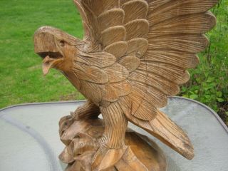 ANTIQUE FOLK ART LARGE HAND CARVED WOOD AMERICAN EAGLE from EARLY ESTATE 6