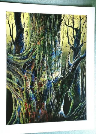 Magnificent Rare Large Eyvind Earle Serigraph " Ancient Tree " - Size 47 X 36