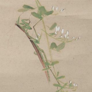 1578 Japanese Hanging Scroll: Mantis on Bush Clover 4