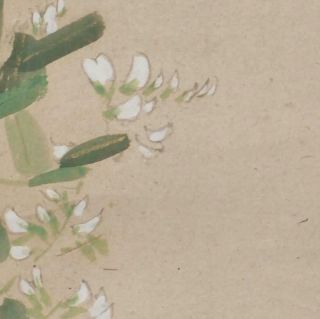 1578 Japanese Hanging Scroll: Mantis on Bush Clover 5