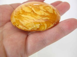 Antique 2 1/4 - Inch Diameter Egg Yolk Baltic Amber Brooch / Pin 24.  7 Grams 3