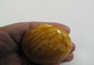 Antique 2 1/4 - Inch Diameter Egg Yolk Baltic Amber Brooch / Pin 24.  7 Grams 5