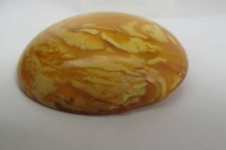 Antique 2 1/4 - Inch Diameter Egg Yolk Baltic Amber Brooch / Pin 24.  7 Grams 6
