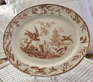 Antique Aesthetic Brown Transferware Platter 19ce Indus Ridgways Staffordshire