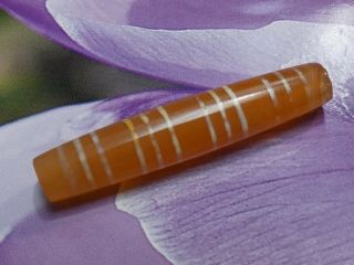 ANCIENT AGATE CARNELIAN ETCHED 12 STRIPE PYU TUBE BEAD 46 by 9.  4 mm 11