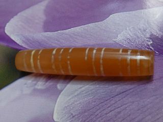 ANCIENT AGATE CARNELIAN ETCHED 12 STRIPE PYU TUBE BEAD 46 by 9.  4 mm 6