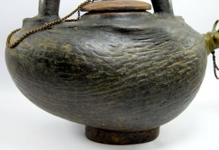 Antique Coco De Mer Half Nut Priest Kamandal Water Pot Seychelles.  G53 - 432 US 8