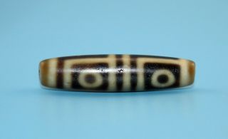 48 11 Mm Antique Dzi Agate Old 4 Eyes Bead From Tibet