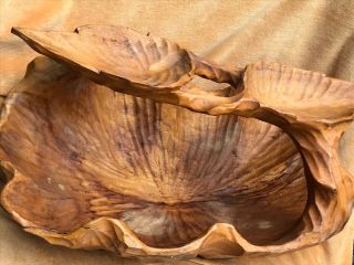 Large Burl Wood Basket Hand Carved 17x9” Wooden Tree Trunk Root Bowl Split