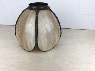 Vintage Carmel 5 Panel Slag Glass Lamp Shade Only Semi Tulip Shaped