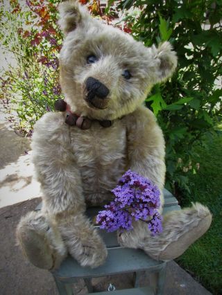 Antique Old Mohair Steiff Teddy Bear 18 Inches