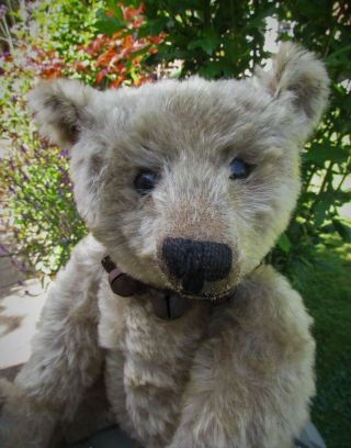 ANTIQUE OLD MOHAIR STEIFF TEDDY BEAR 18 INCHES 3