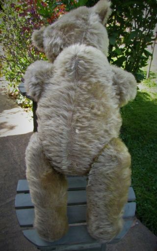 ANTIQUE OLD MOHAIR STEIFF TEDDY BEAR 18 INCHES 8