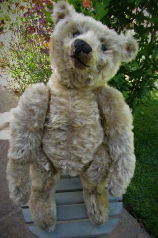 ANTIQUE OLD MOHAIR STEIFF TEDDY BEAR 18 INCHES 9