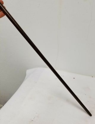 Antique Vintage Cherry Amber Bakelite Handled Cane Walking Stick Sterling Silver 9